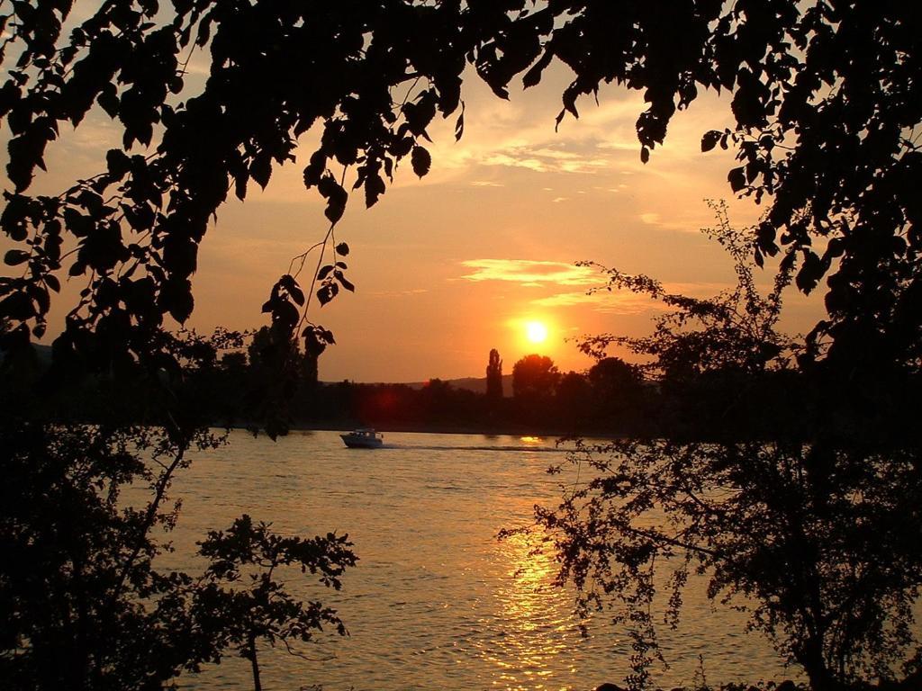 باد هونينغن Zur Rheinschanz المظهر الخارجي الصورة