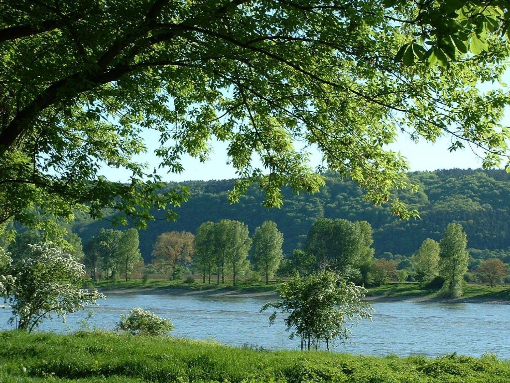 باد هونينغن Zur Rheinschanz المظهر الخارجي الصورة